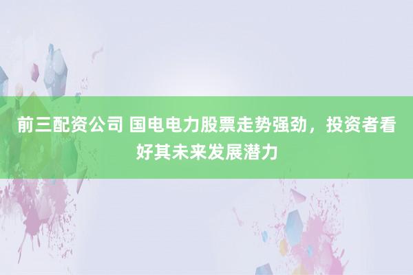 前三配资公司 国电电力股票走势强劲，投资者看好其未来发展潜力