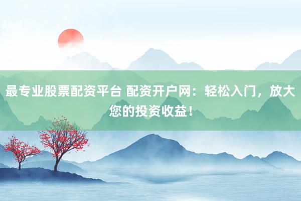 最专业股票配资平台 配资开户网：轻松入门，放大您的投资收益！