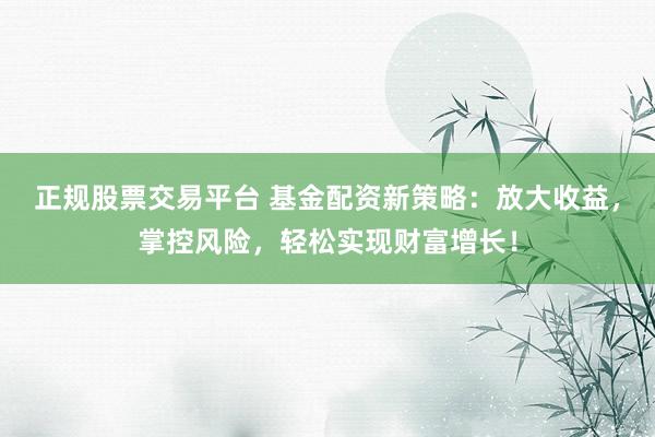 正规股票交易平台 基金配资新策略：放大收益，掌控风险，轻松实现财富增长！