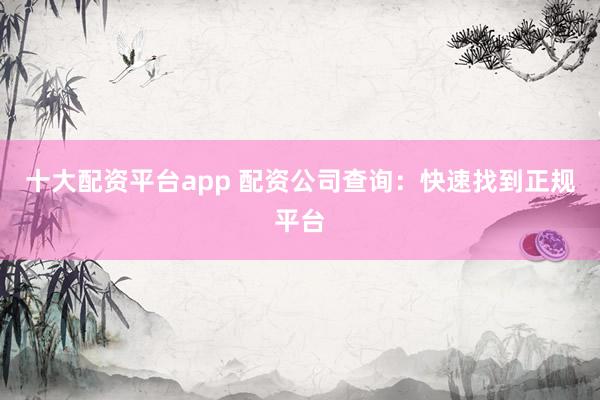 十大配资平台app 配资公司查询：快速找到正规平台