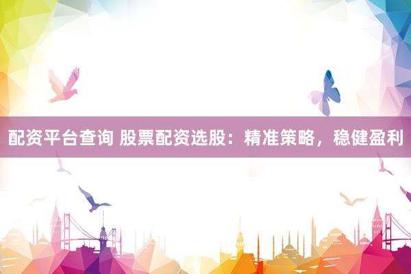 配资平台查询 股票配资选股：精准策略，稳健盈利