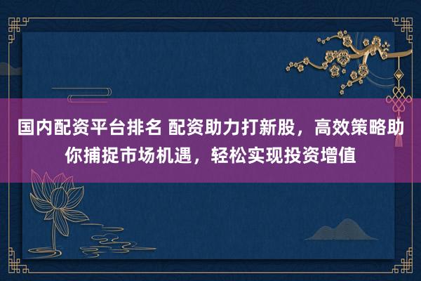 国内配资平台排名 配资助力打新股，高效策略助你捕捉市场机遇，轻松实现投资增值