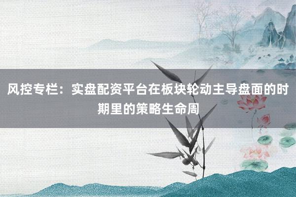 风控专栏：实盘配资平台在板块轮动主导盘面的时期里的策略生命周