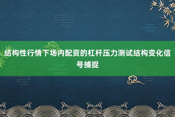 结构性行情下场内配资的杠杆压力测试结构变化信号捕捉