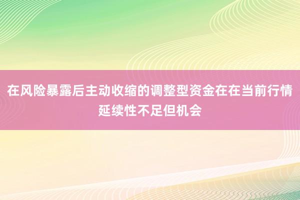 在风险暴露后主动收缩的调整型资金在在当前行情延续性不足但机会