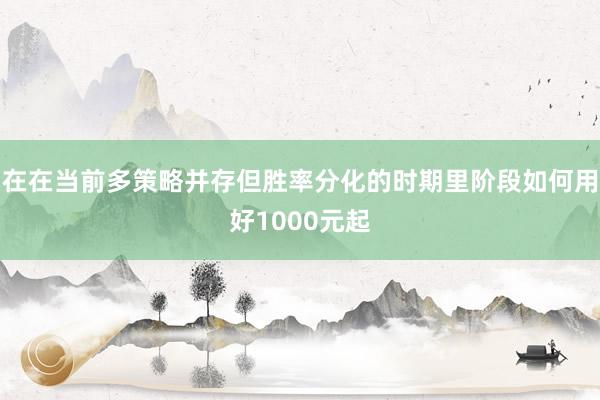 在在当前多策略并存但胜率分化的时期里阶段如何用好1000元起