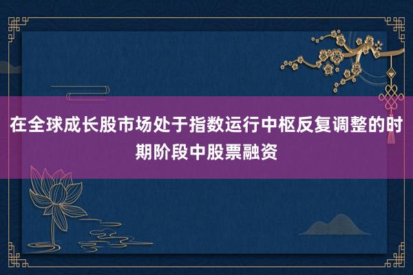 在全球成长股市场处于指数运行中枢反复调整的时期阶段中股票融资