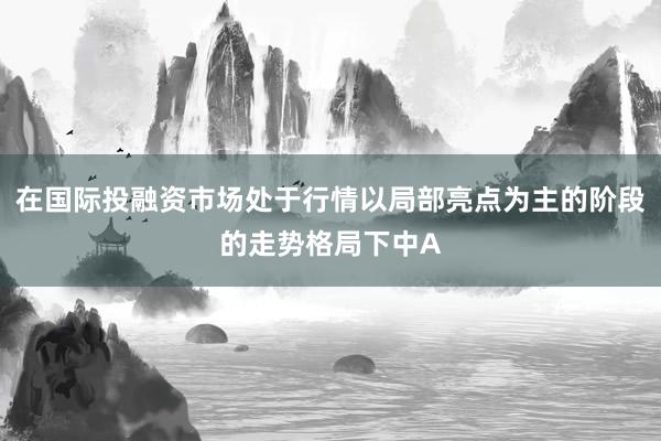 在国际投融资市场处于行情以局部亮点为主的阶段的走势格局下中A