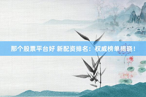 那个股票平台好 新配资排名：权威榜单揭晓！
