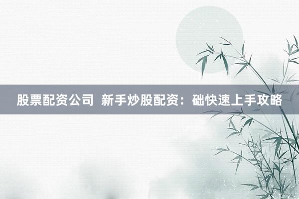 股票配资公司  新手炒股配资：础快速上手攻略